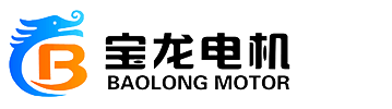 baolong motors